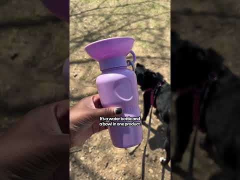 Dog 2-in-1 travel water bottle demo with real dog drinking