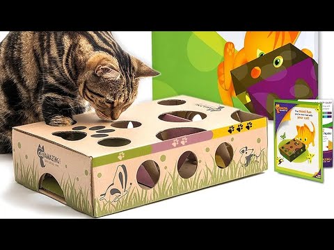 Cat solving an interactive treat maze puzzle feeder
